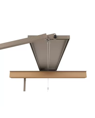 329 COSMOS XLARGE 400x480