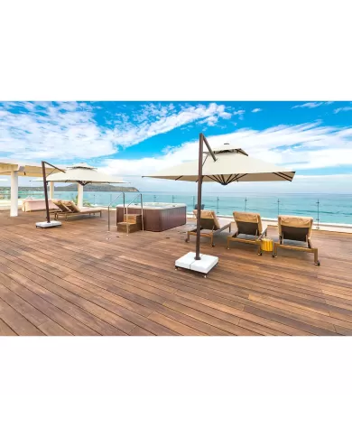 369 ALBATROS - 350x350