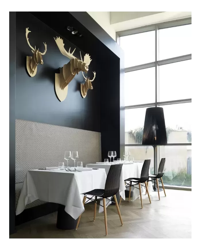 XX-treme S Wox Kayın