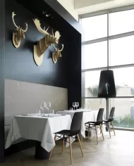 XX-treme S Wox Kayın